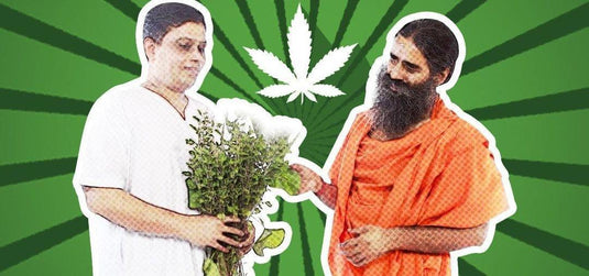 India's Cannabis History