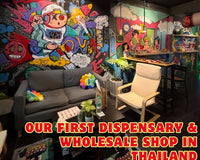 Our First Dispensary & Wholesale Shop in Thailand featured by Thaiger