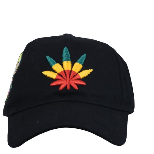 InsaneLabz- Embroidered Baseball Cap