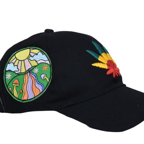 InsaneLabz- Embroidered Baseball Cap