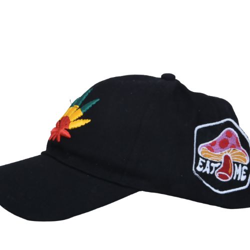 InsaneLabz- Embroidered Baseball Cap