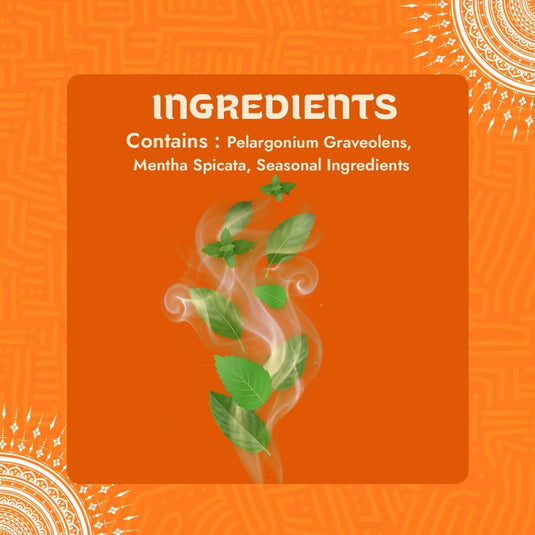 Buy Kash - Mandala Burn Herbal Blends | Slimjim India