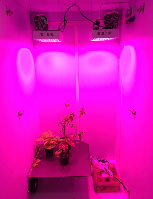 The Flower Room Grow Cabinets The Green Cherry 