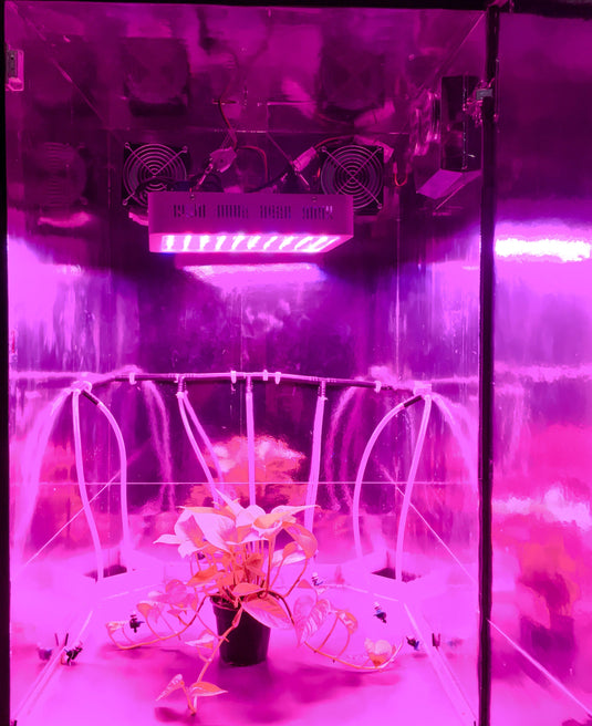 The Green Room Grow Cabinets The Green Cherry 